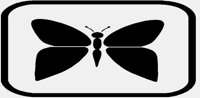 BUTTERFLY.IFF