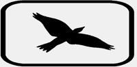 BIRDFLYING.IFF