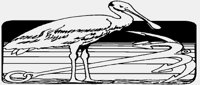 SPOONBILL.IFF