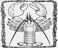 LOBSTER.IFF