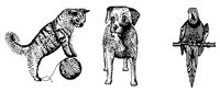 PETS.IFF