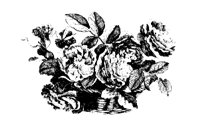 MISC22.IFF