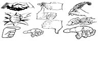 HANDS.IFF