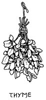 THYME2.IFF