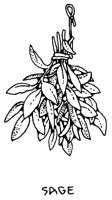 SAGE2.IFF