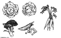 FOODS46.IFF