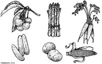 FOODS45.IFF