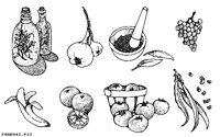 FOODS42.IFF
