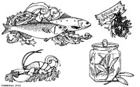 FOODS41.IFF