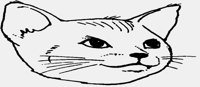 CAT10.IFF
