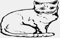 CAT07.IFF