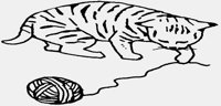 CAT05.IFF