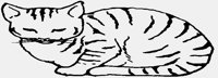 CAT04.IFF