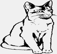 CAT03.IFF