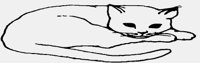 CAT02.IFF
