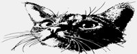 CAT01.IFF