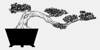 BONSAI03.iff