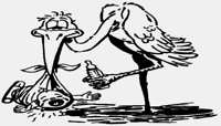 STORK.IFF