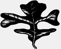 LEAF2.IFF