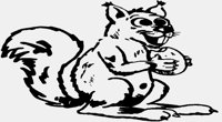 SQUIRREL.iff
