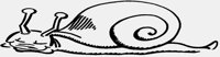 SNAIL.IFF