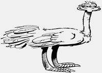 OSTRICH.IFF