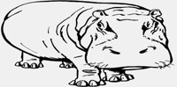 HIPPOPOTAMUS.IFF