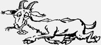 GOAT.iff