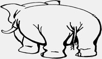 ELEPHANT1.IFF