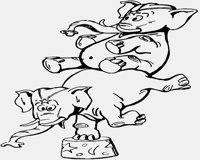 CIRCUSELEPHANTS.IFF
