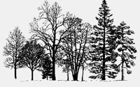 TREES.iff