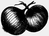 ONIONS.IFF