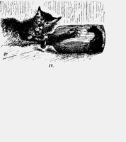 CATMOUSED.iff