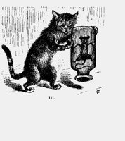 CATMOUSEC.iff