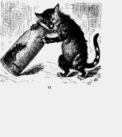 CATMOUSEB.iff