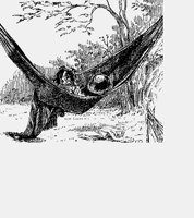 BOYHAMMOCK.iff