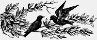 BIRDS.IFF