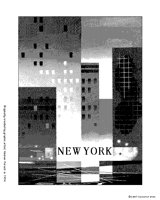 NEW YORK NEW YORK.iff