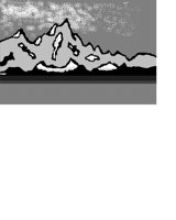 MTNSCENE.iff