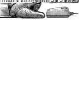 GLOVE.iff