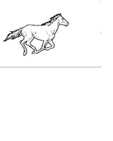 WHITE HORSE.iff