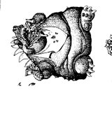 MONEYEATER MONSTER.iff