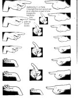HANDS 3.iff