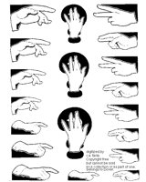 HANDS 1.iff