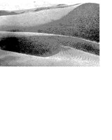 DUNE.iff