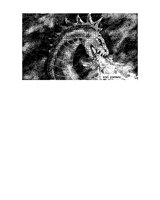 DRAGON 3.iff