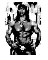 ARNIE.iff