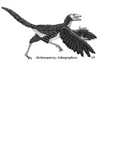 ARCHAEOPTERYX.iff