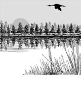 LOON.iff