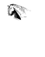 HORSE.iff
